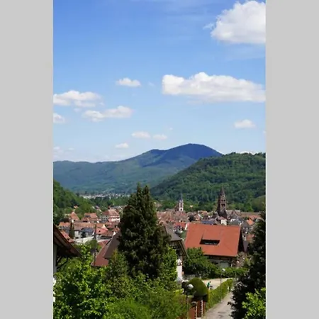 Individuel Avec O Coeur De La Vallee Munster (Haut-Rhin)